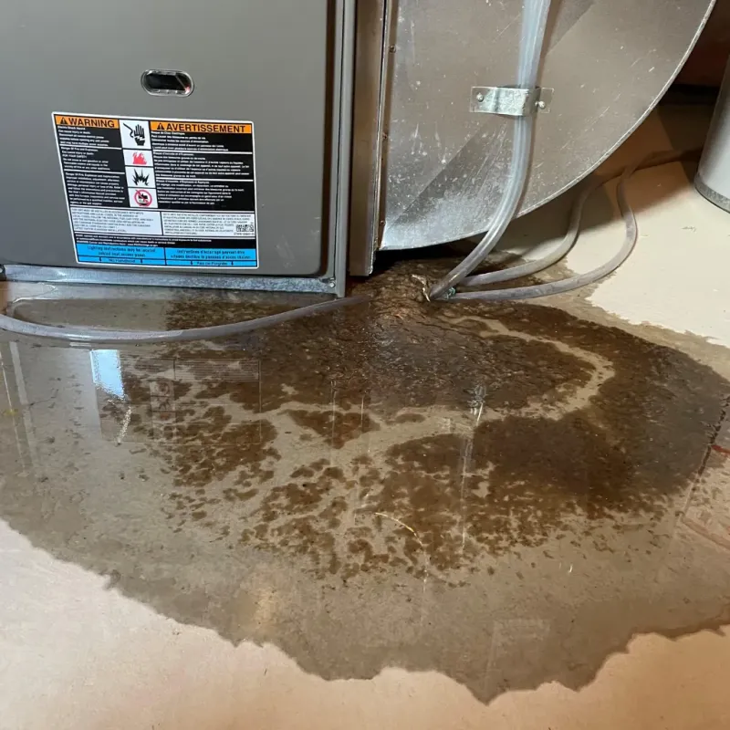 Appliance Leak Cleanup in Palatka, FL